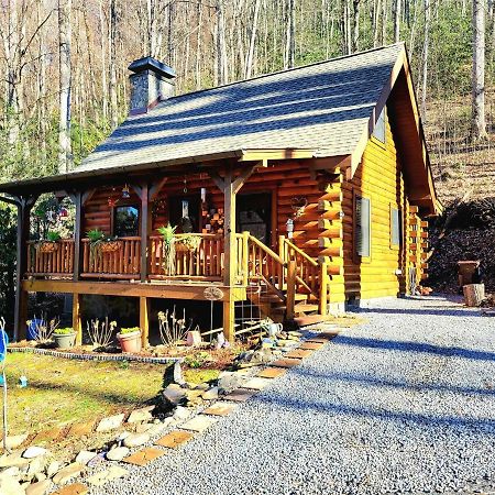 The Little Wolf Cabin Maggie Valley Zewnętrze zdjęcie