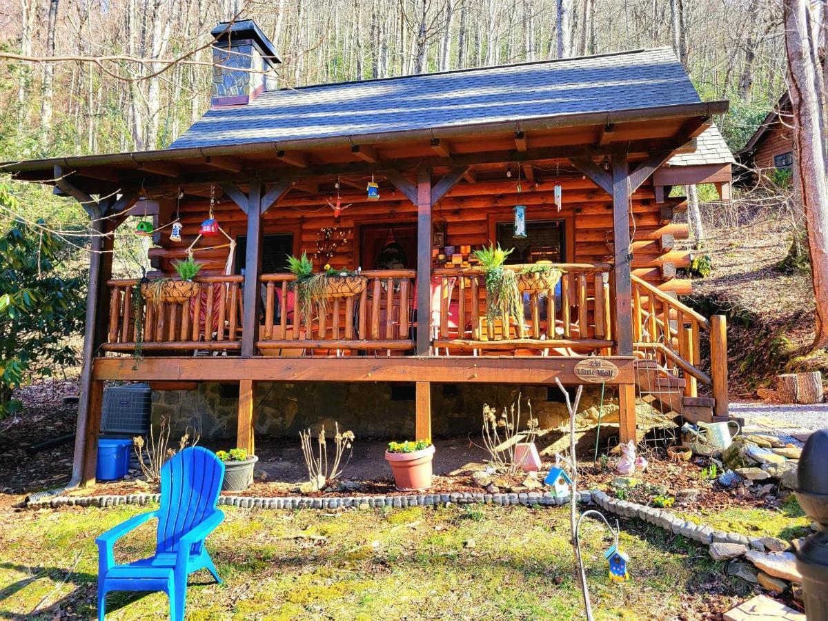 The Little Wolf Cabin Maggie Valley Zewnętrze zdjęcie
