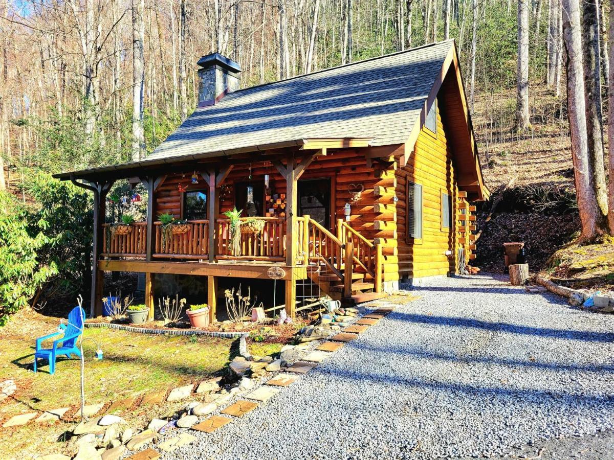 The Little Wolf Cabin Maggie Valley Zewnętrze zdjęcie
